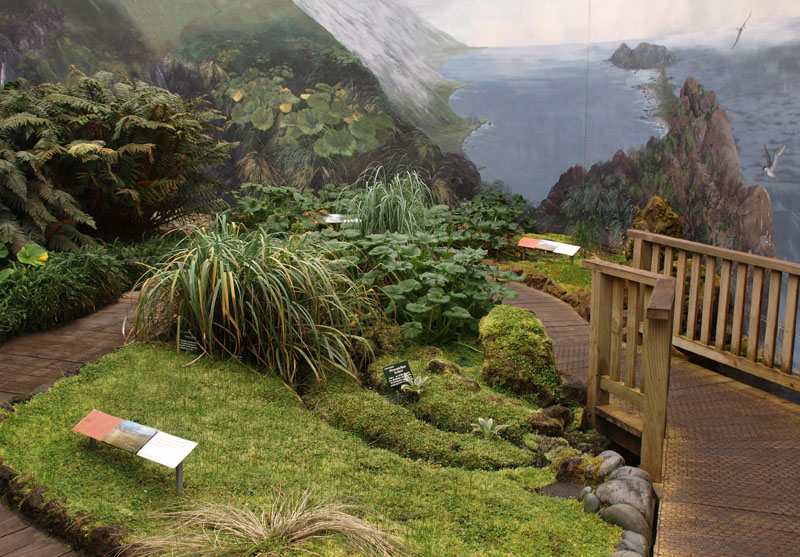 The sub-antarctic room