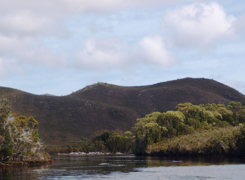 Melaleuca Creek  2