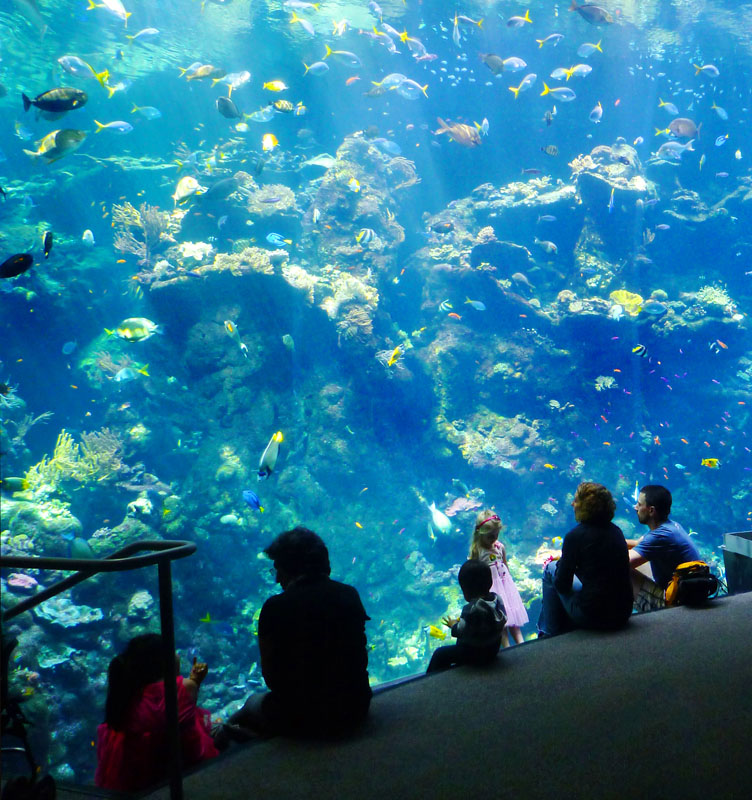 Very large aquarium