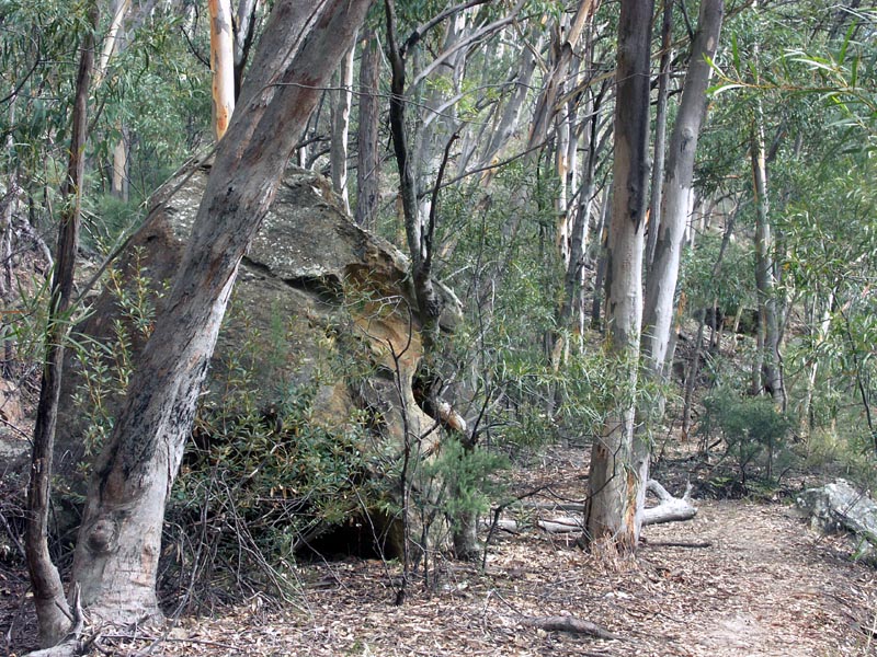 Worrying Boulder