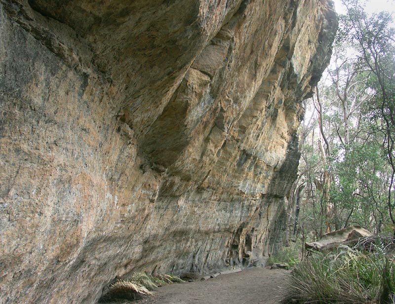Aboriginal art site