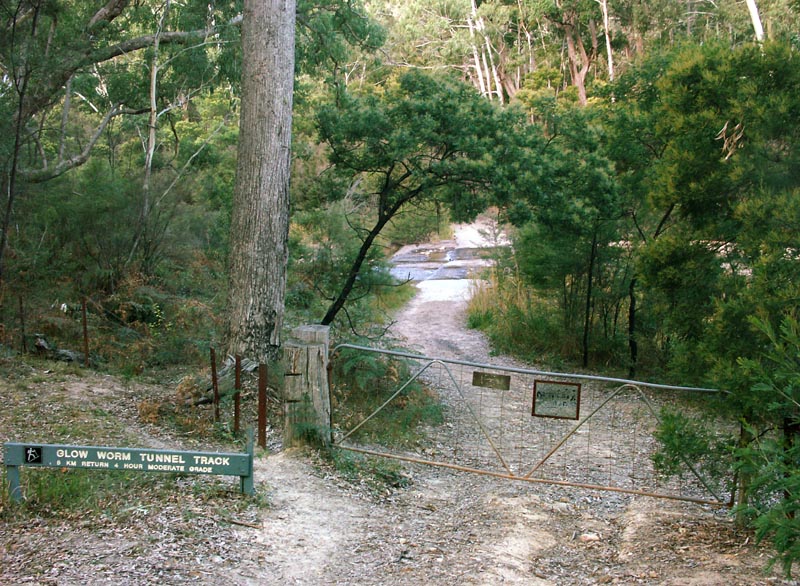 Glow worm track turnoff