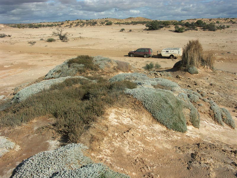 Landscape near the mound springs