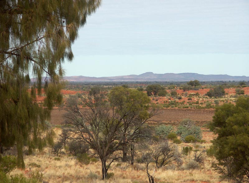 Central Australian Landscape