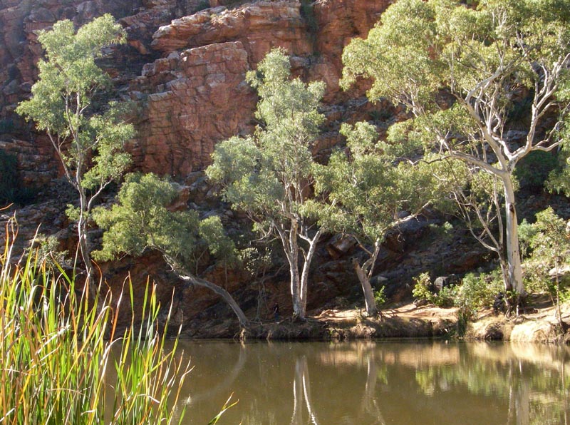 Ellery Creek Big Hole
