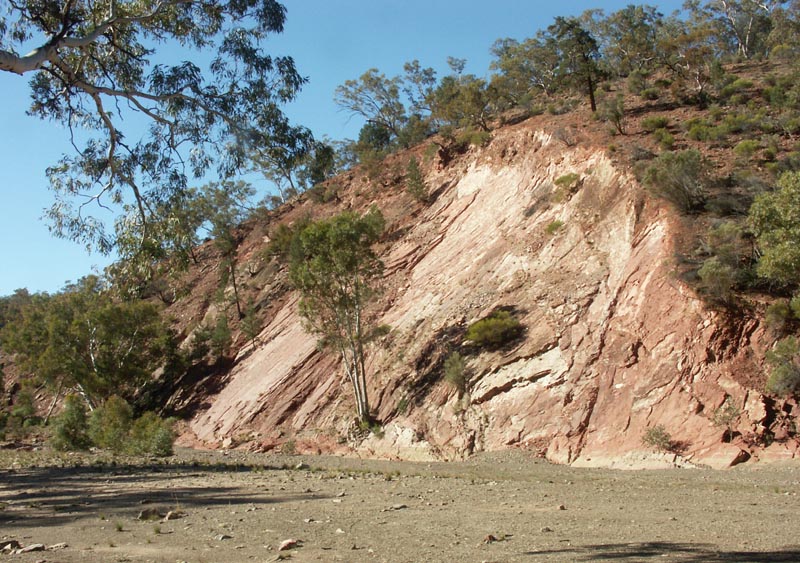Brachina Gorge - 5