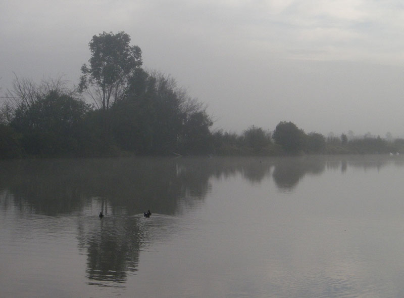 Pughs Lagoon