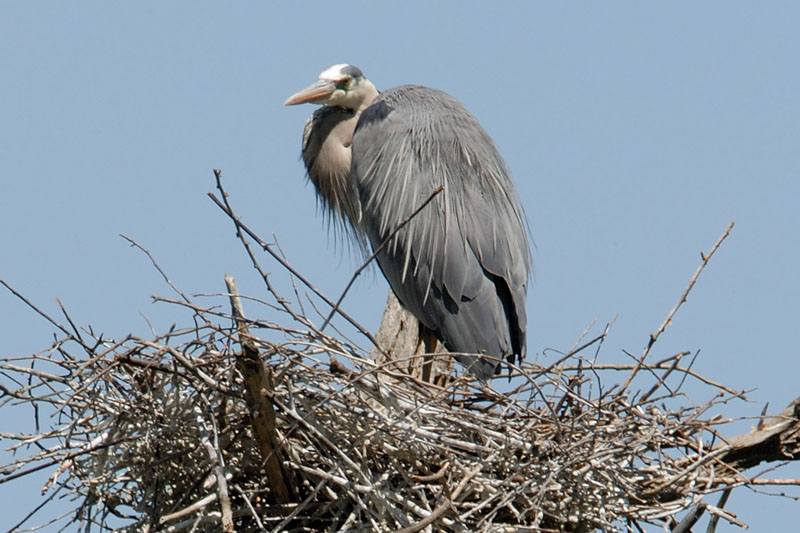 DSC_0015_ra_sm.jpg