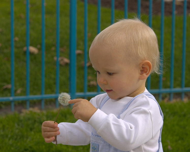 CRW_34624.jpg