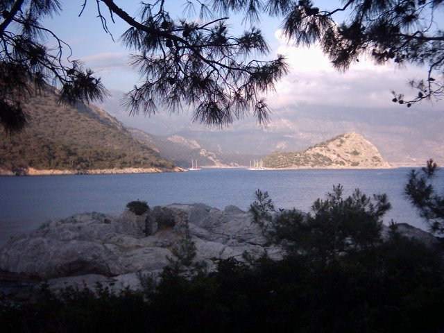 910181.jpg
