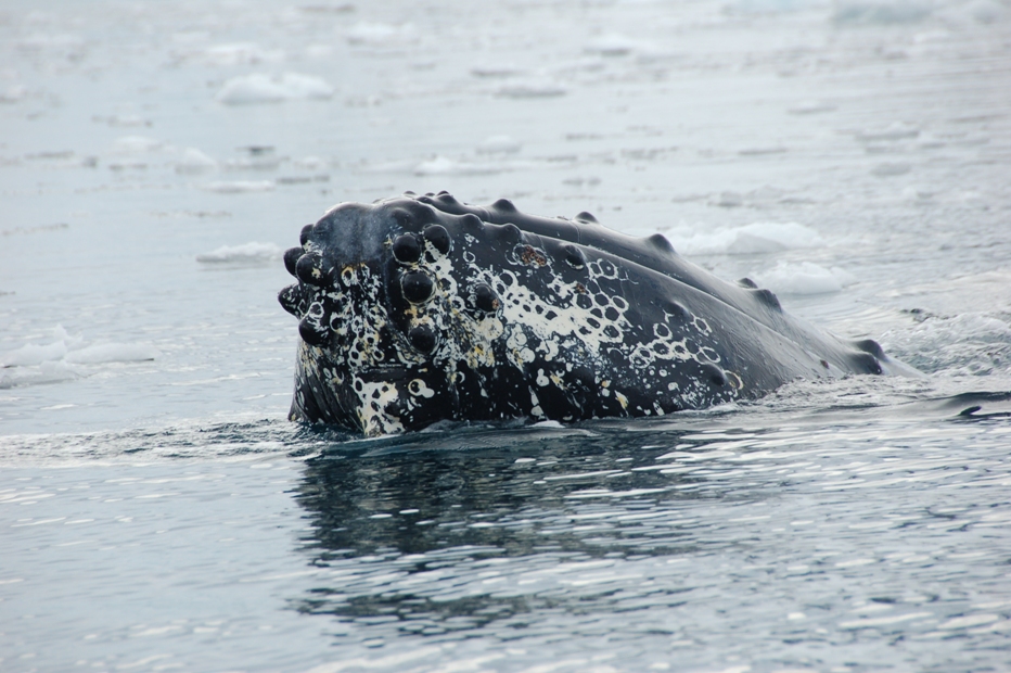 DSC_0582.JPG