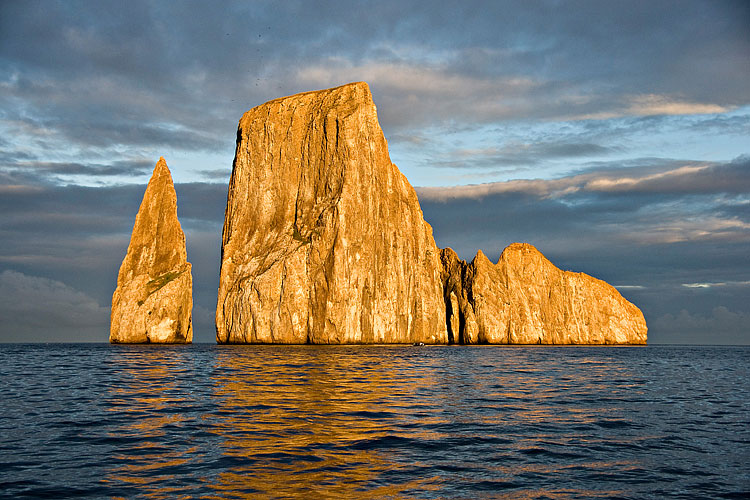 DSC00973 (1).jpg