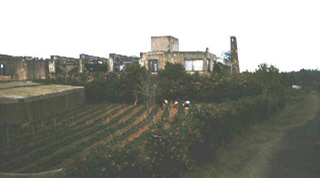 nha Hoang