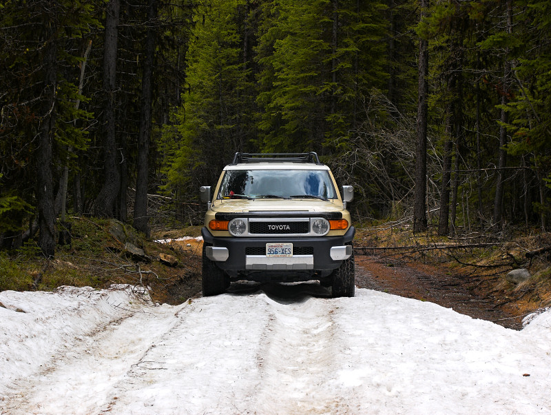FJ dogs, snow Sherman Pass
