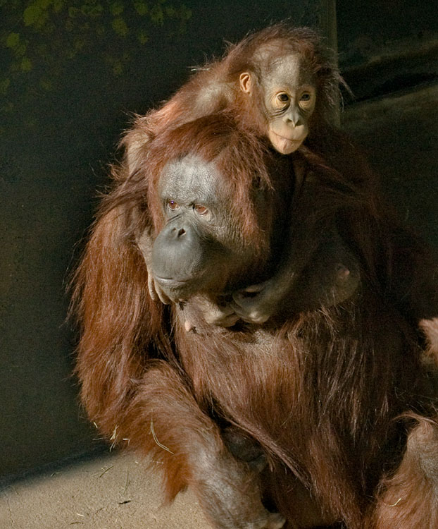 Bess and Kasih
