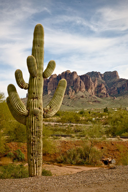 Superstition Mountain from Goldfield