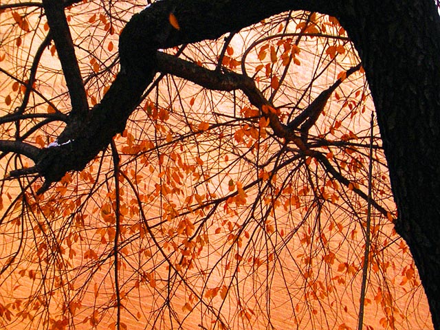 DSCN2288.jpg