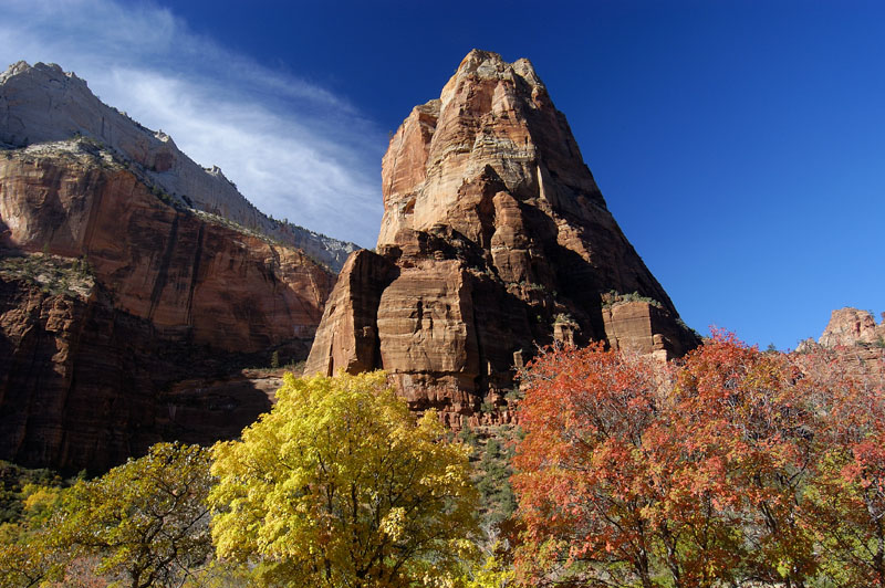 Zion Valley Fall Colors