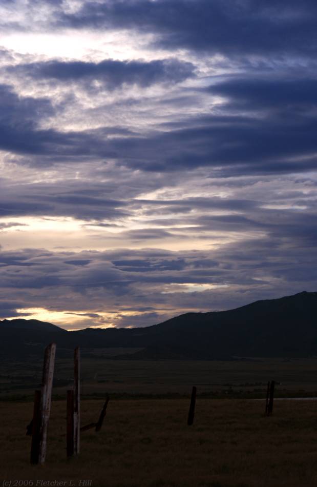 Fence Posts