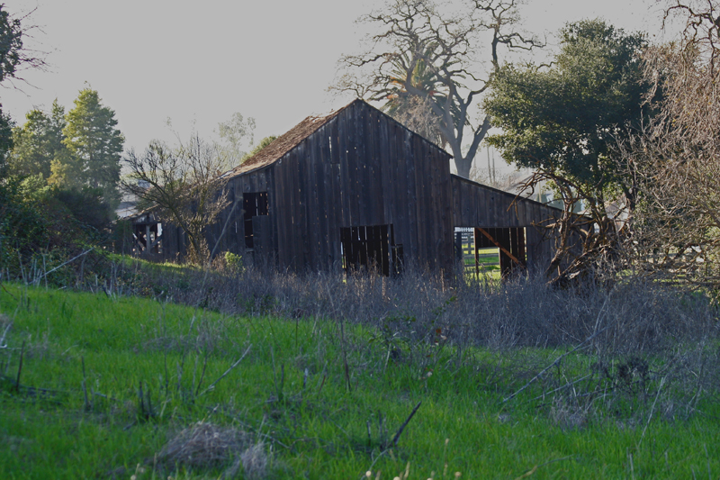 Back of the Barn