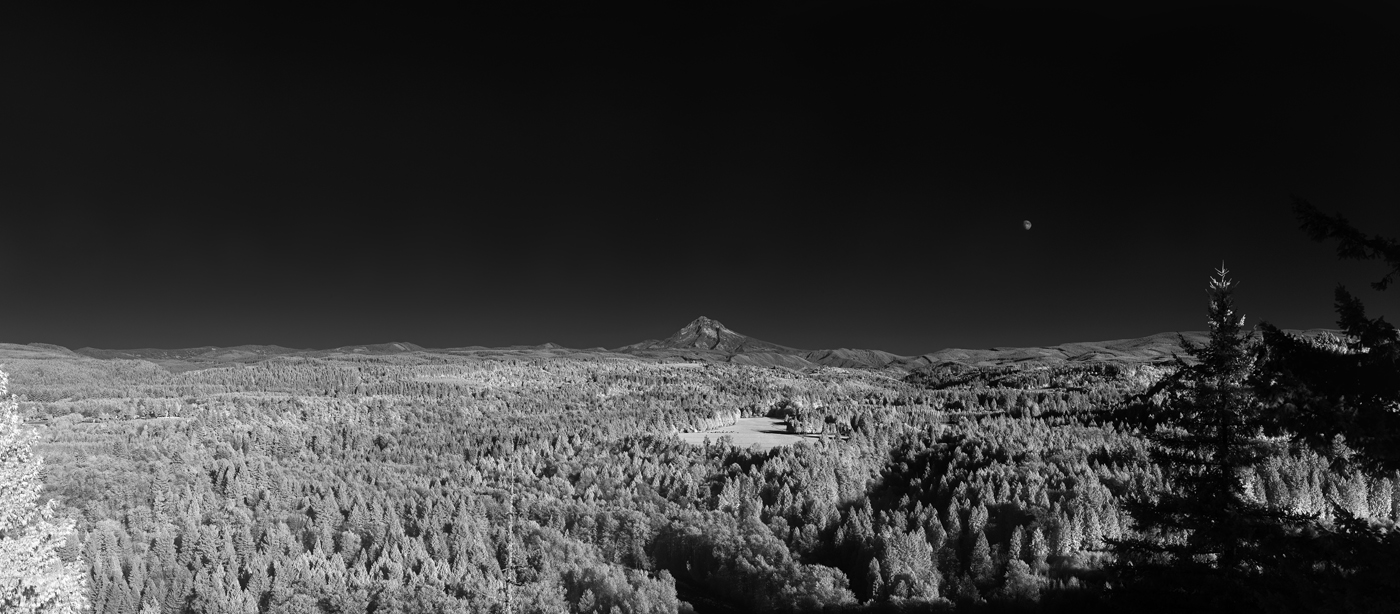 Mount Hood from Jonsrud Point IR 18x40