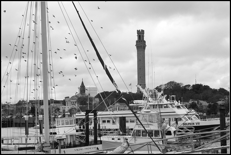 Monument, Boats, and Birds