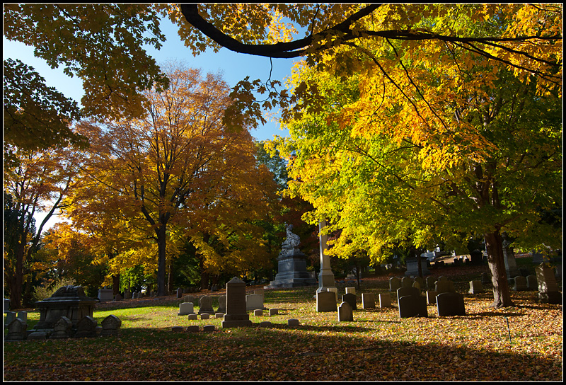 Fall in the Cemetery I