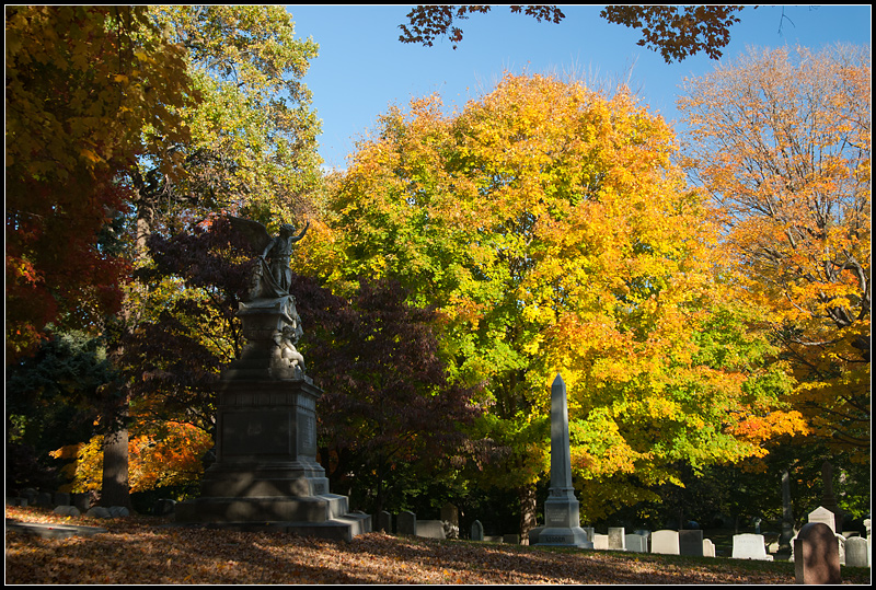 Fall in the Cemetery II