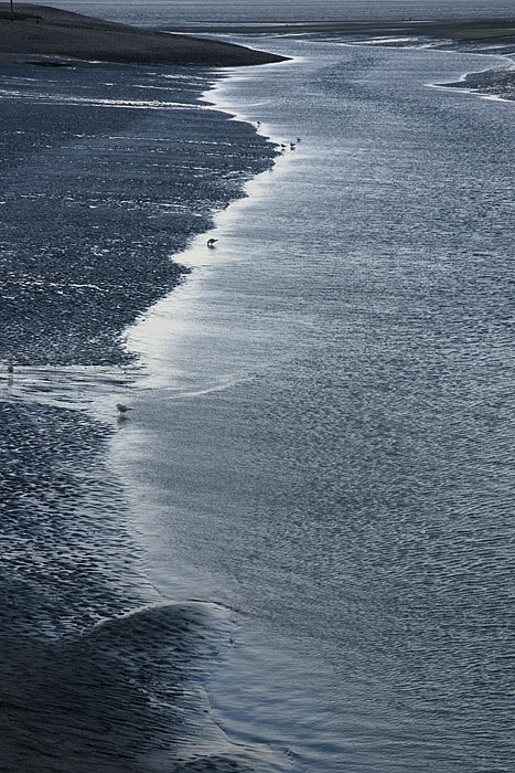 Rivage