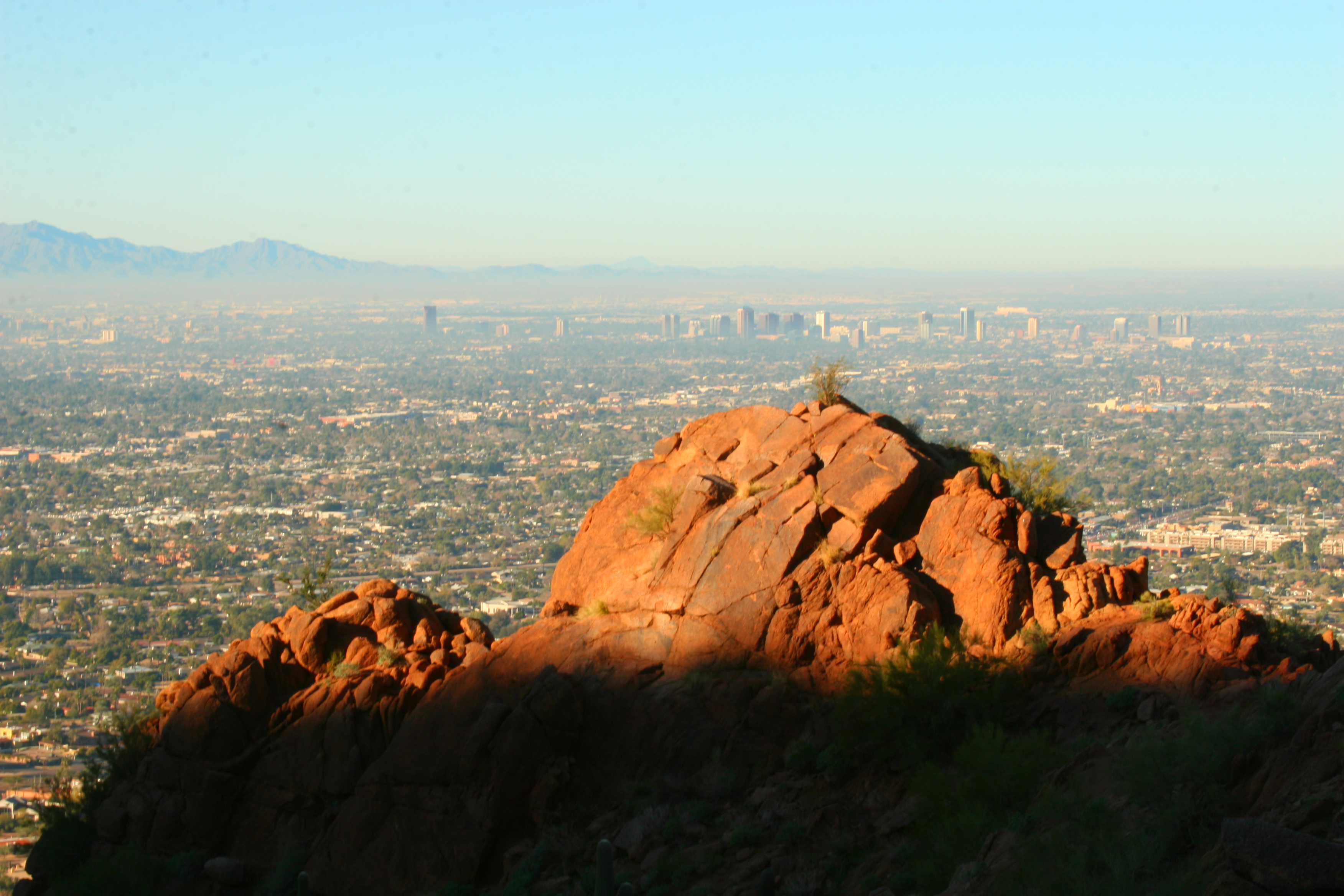 Phoenix