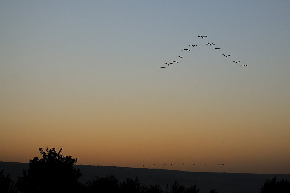 <h5>Sunrise at Hula  - זריחה בהחולה</h5>