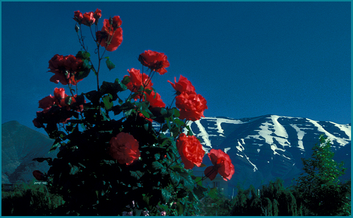Alborz Mountains, Iran