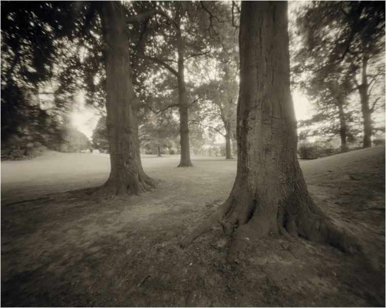 Pinhole  Sinar 4x5