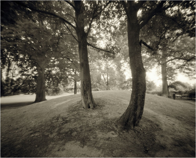 Pinhole  Sinar 4x5