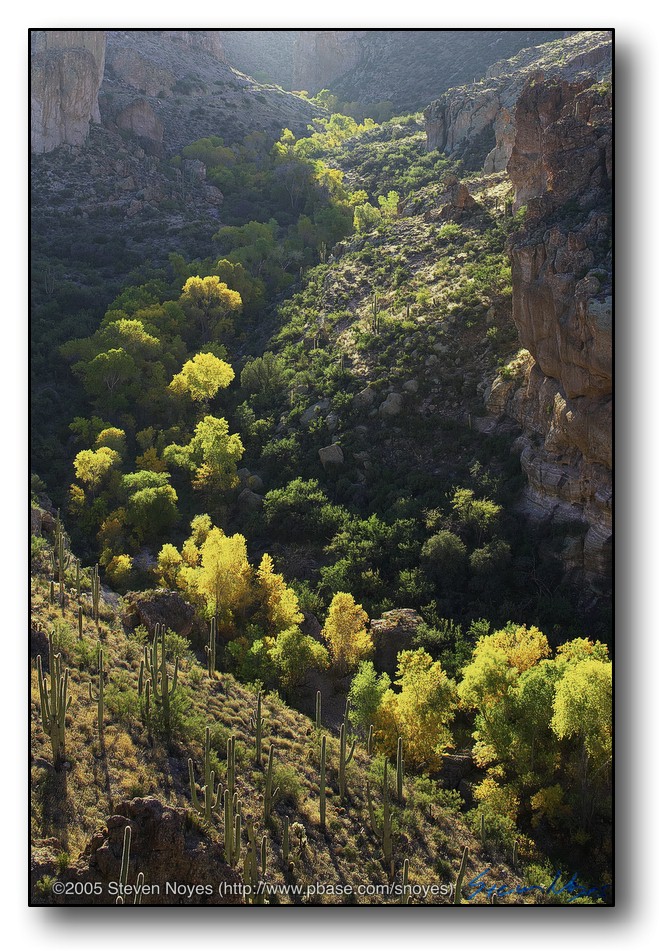 Superstitions : Sunrise Canyon