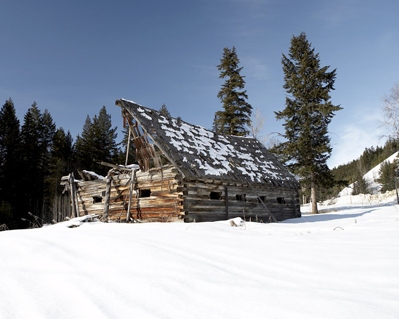 03177_Feb06_5D.jpg