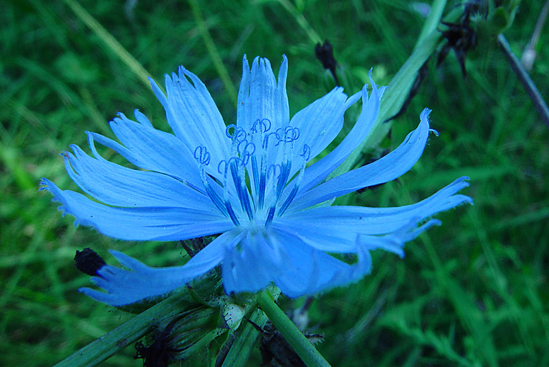 August 30 2008 007a.jpg
