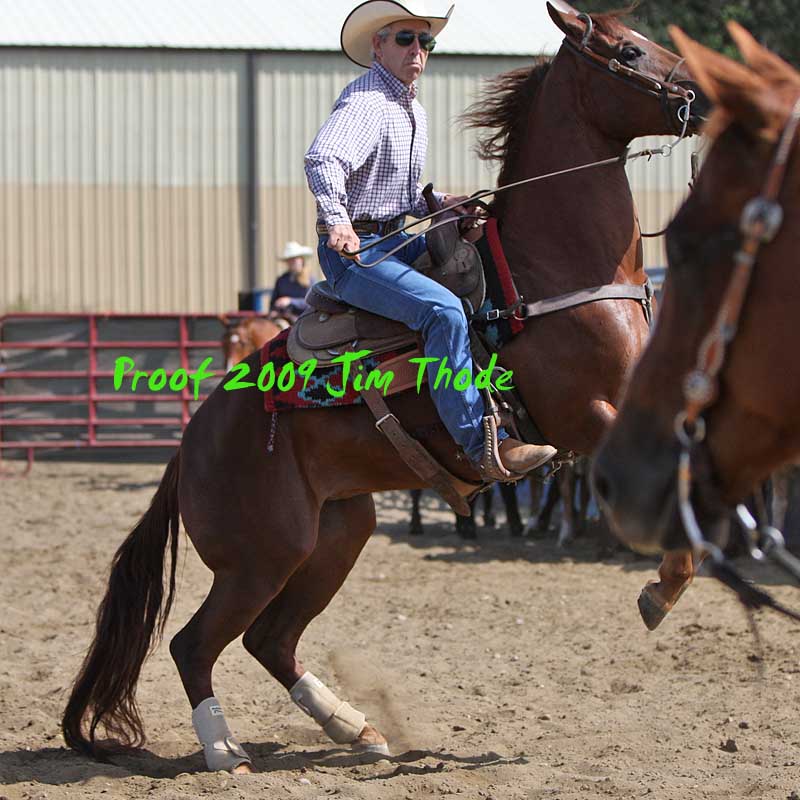 IMG_8136a.jpg