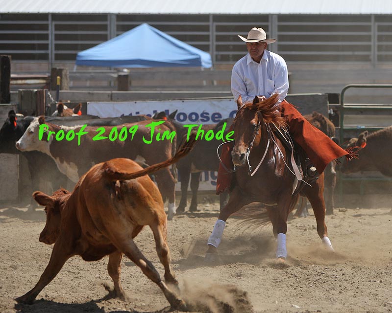 IMG_8303aq.jpg