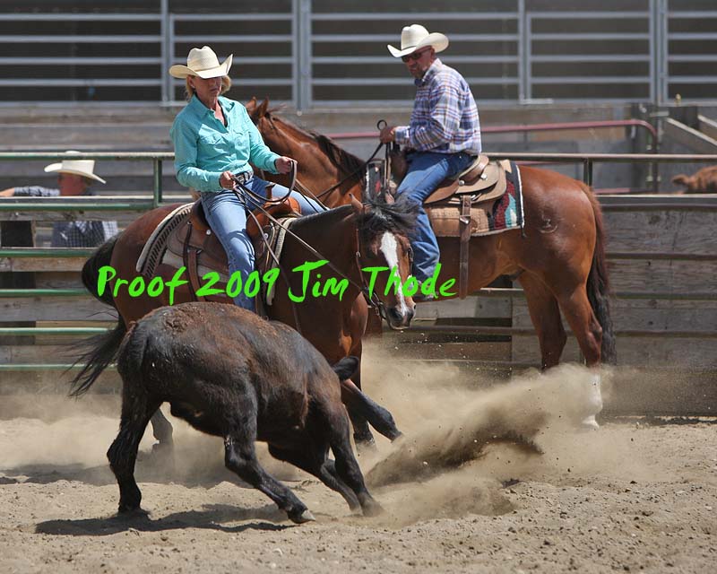 IMG_8442a.jpg