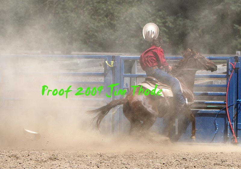 IMG_8561a.jpg