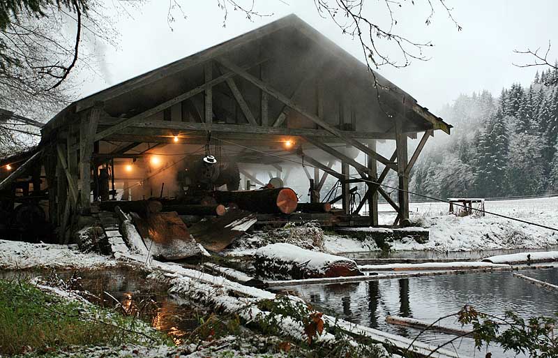 Logs are pulled in from the pond -------- IMG_0808a.jpg