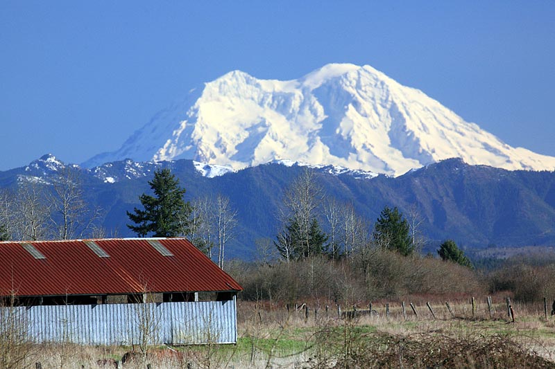 Mt  Rainer             IMG_1725a.jpg
