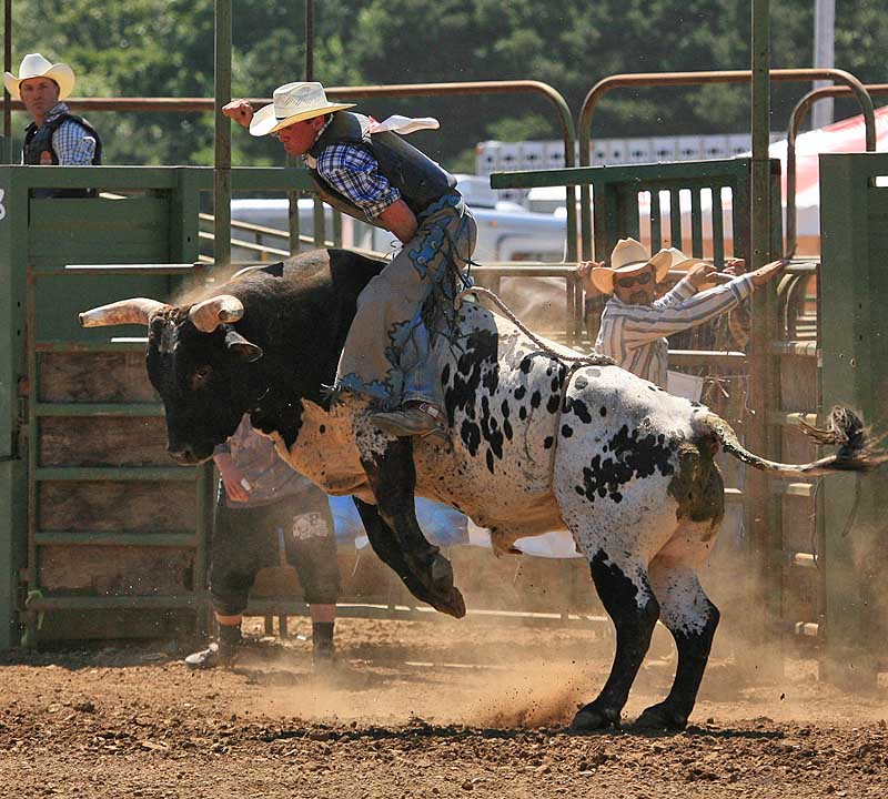 Bull Riding