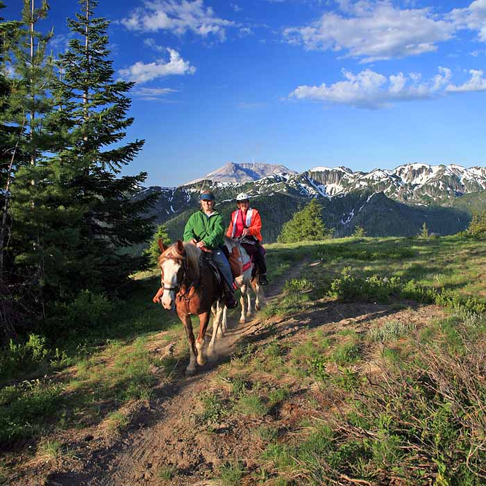On the Goat Mtn Trail