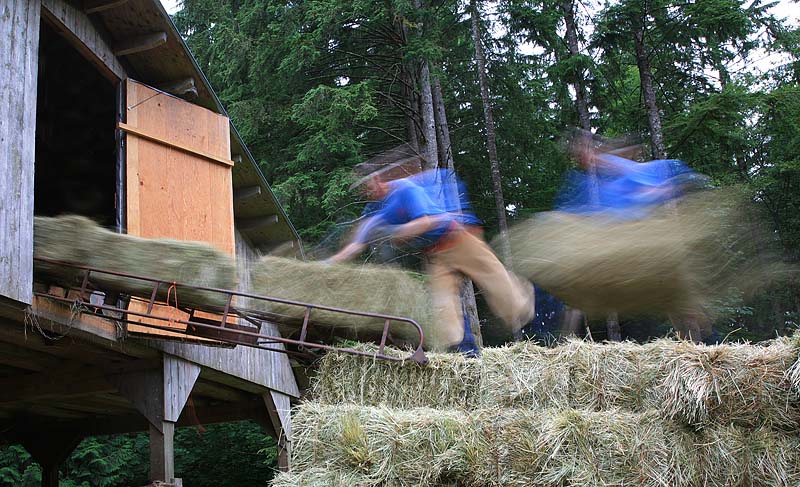 Moving hay