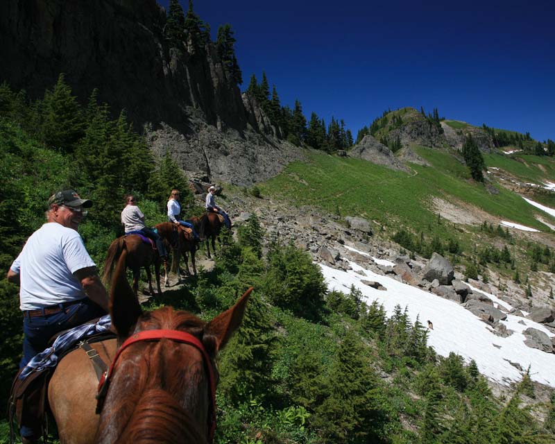And up the hill, (Tatoosh Ridge)