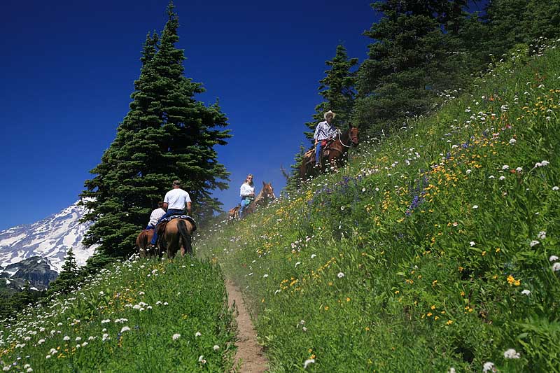And up the hill