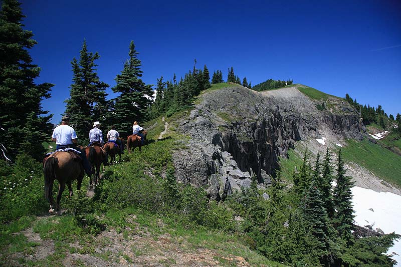 And up the hill  (Tatoosh Ridge)