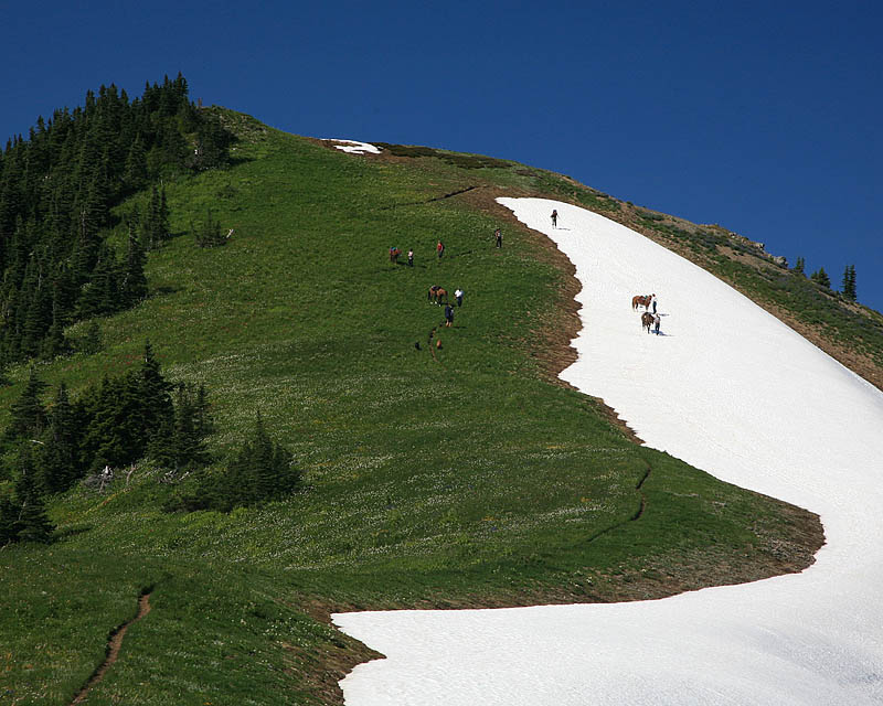 Comming down the hill